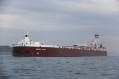 Thumbnail Image for Michigan Trader