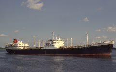 Thumbnail Image for Crania oncontextmenu=