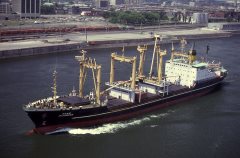 Thumbnail Image for Jalamudra oncontextmenu=