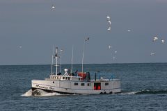 Thumbnail Image for Mummery Bros oncontextmenu=