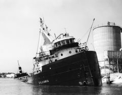 Thumbnail Image for Sylvania