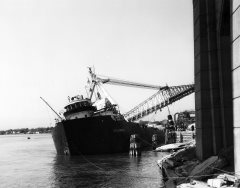 Thumbnail Image for Sylvania