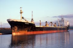 Thumbnail Image for Saronis oncontextmenu=