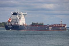 Thumbnail Image for G3 Marquis