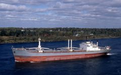 Thumbnail Image for Tortugas oncontextmenu=