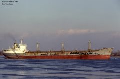 Thumbnail Image for Al Tafseer oncontextmenu=