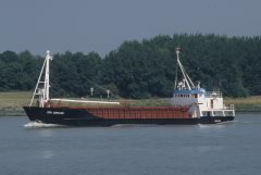 Thumbnail Image for Dan Carrier