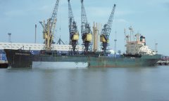 Thumbnail Image for Bertha Fisser oncontextmenu=