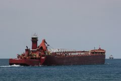 Thumbnail Image for Joseph H. Thompson