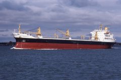 Thumbnail Image for Felicia V