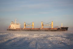 Thumbnail Image for Lambi