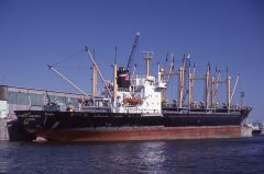 Thumbnail Image for Jesus Menendez