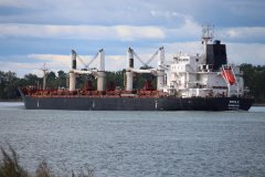 Thumbnail Image for Mobile