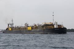 Thumbnail Image for Petite Forte