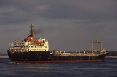 Thumbnail Image for Patvin oncontextmenu=