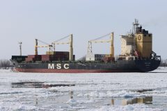 Thumbnail Image for MSC Elbe