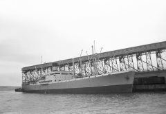 Thumbnail Image for Sunland