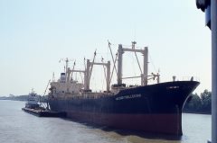 Thumbnail Image for Telfair Challenger