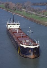 Thumbnail Image for Franquelin style=