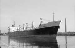 Thumbnail Image for Anna oncontextmenu=