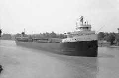 Thumbnail Image for Arthur B. Homer