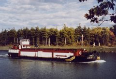 Thumbnail Image for A.C.D.