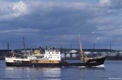 Thumbnail Image for A.T. Cameron