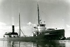 Thumbnail Image for Starbuck