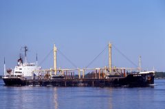 Thumbnail Image for Cynthia