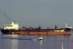 Thumbnail Image for Demetrios