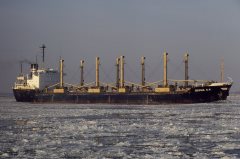 Thumbnail Image for Despina G.K.