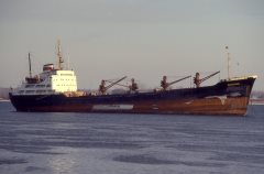 Thumbnail Image for Donskoy