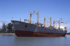 Thumbnail Image for Efthitis