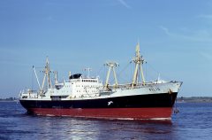 Thumbnail Image for Filia