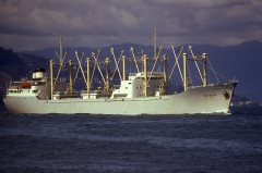 Thumbnail Image for Frances oncontextmenu=