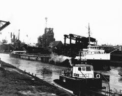 Thumbnail Image for Pioneer