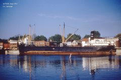 Thumbnail Image for Acton