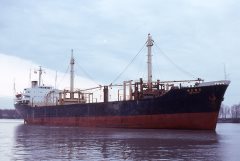 Thumbnail Image for Mascot