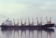 Thumbnail Image for Mireta oncontextmenu=