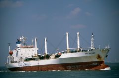 Thumbnail Image for Amer Whitney oncontextmenu=