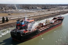 Thumbnail Image for Algotitan oncontextmenu=