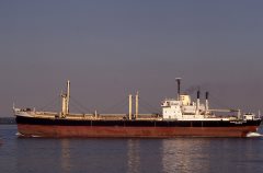 Thumbnail Image for Panaghis Vergottis