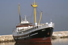 Thumbnail Image for Amro - Z