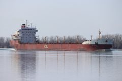 Thumbnail Image for Oakglen