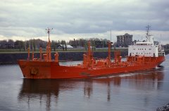 Thumbnail Image for Proof Tomar