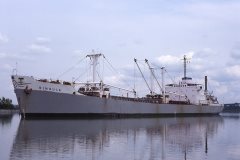 Thumbnail Image for Rinoula oncontextmenu=