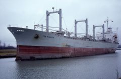 Thumbnail Image for Sea Falcon oncontextmenu=