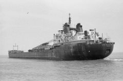 Thumbnail Image for Cape Breton Miner