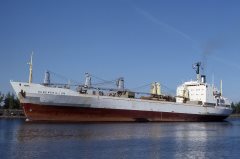 Thumbnail Image for Sunemerillon oncontextmenu=