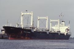 Thumbnail Image for Telfair Pioneer